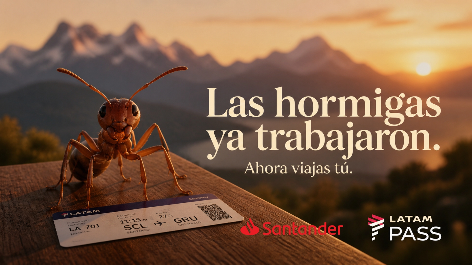 Los Puntos Hormiga — Fase 04 Canje. Las hormigas ya trabajaron. Ahora viajas tú.